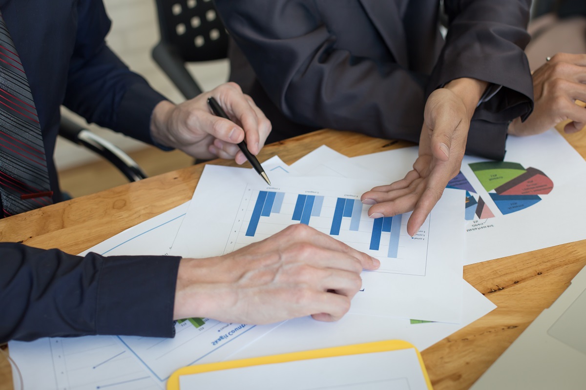 AnalystView Data verification